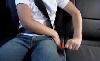 娛樂吃瓜醬安全帶,揭秘娛樂圈那些不為人知的幕后故事