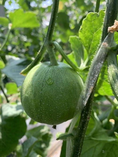 哪些地方可以?shī)蕵?lè)圈吃瓜,揭秘明星幕后故事與熱點(diǎn)事件