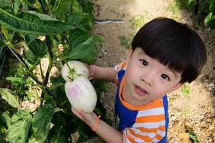 小小紅娛樂(lè)吃瓜說(shuō),揭秘娛樂(lè)圈最新熱點(diǎn)事件