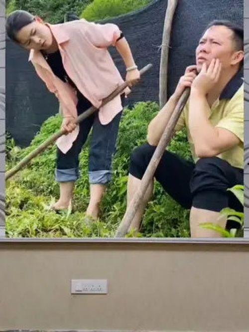 娛樂八卦吃瓜群眾,揭秘明星幕后故事，吃瓜群眾狂歡時刻